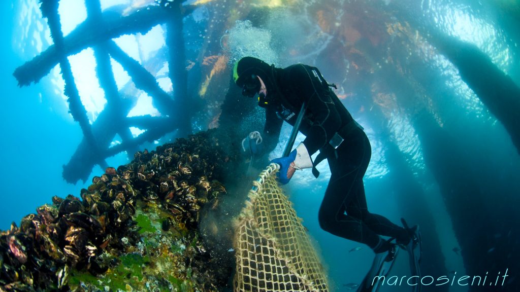 Cooperativa la Romagnola