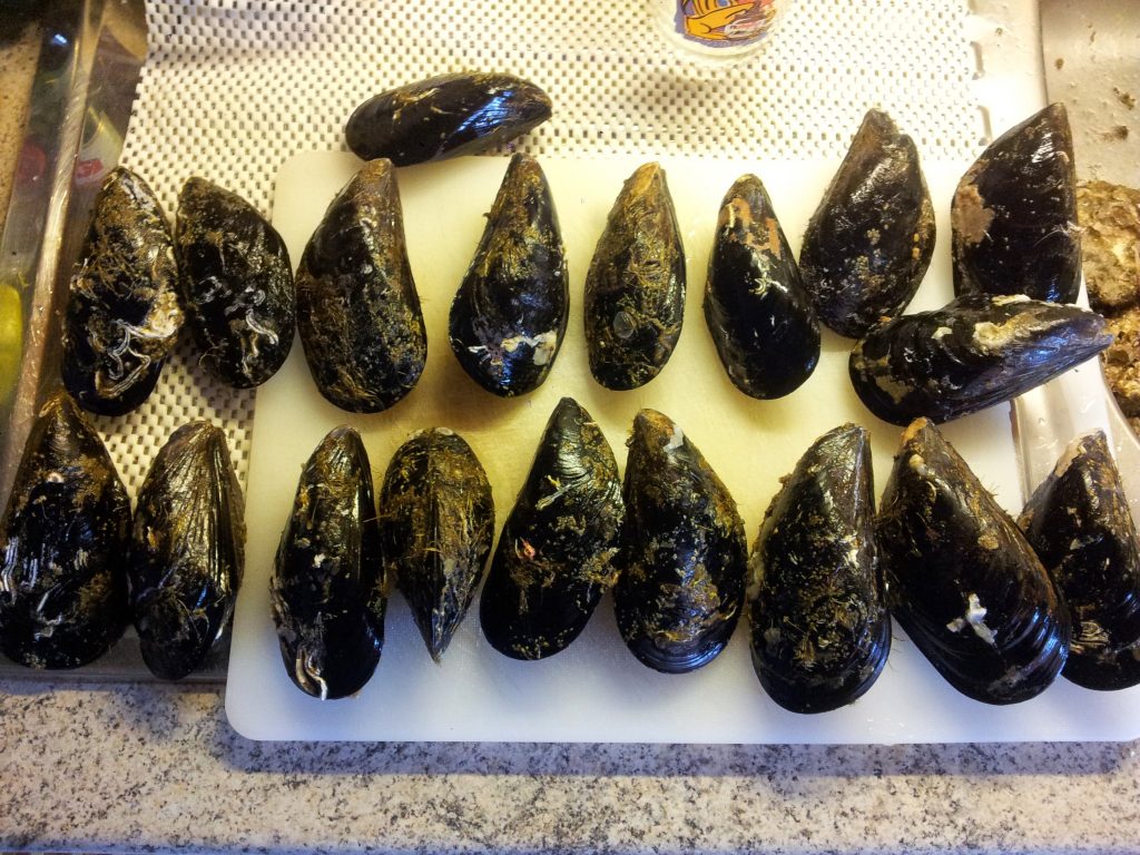 Cozze Giganti 1